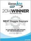 Best Doggie Daycare